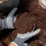 Ce implică întreținerea structurilor de stabilizare