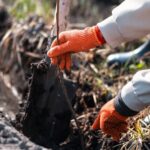 Cum influențează tipul de sol metoda aleasă de consolidare